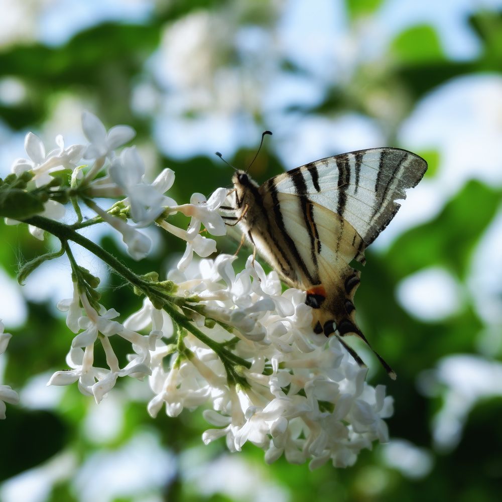 Photograph by Юлия Морозова