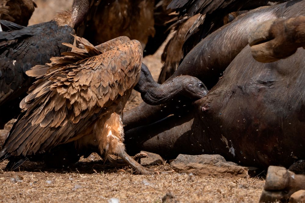 Photograph by Ramakant Kulkarni