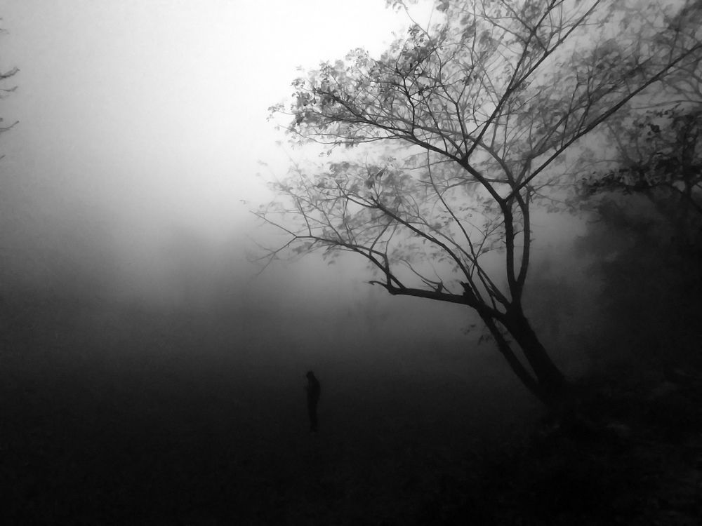 Photo #9195802