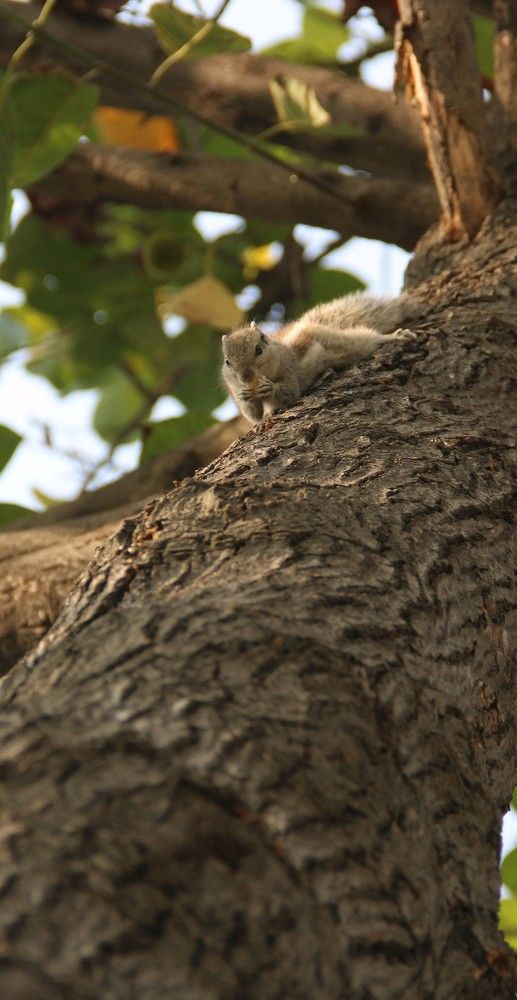 Photograph by Nikhil Buddiga