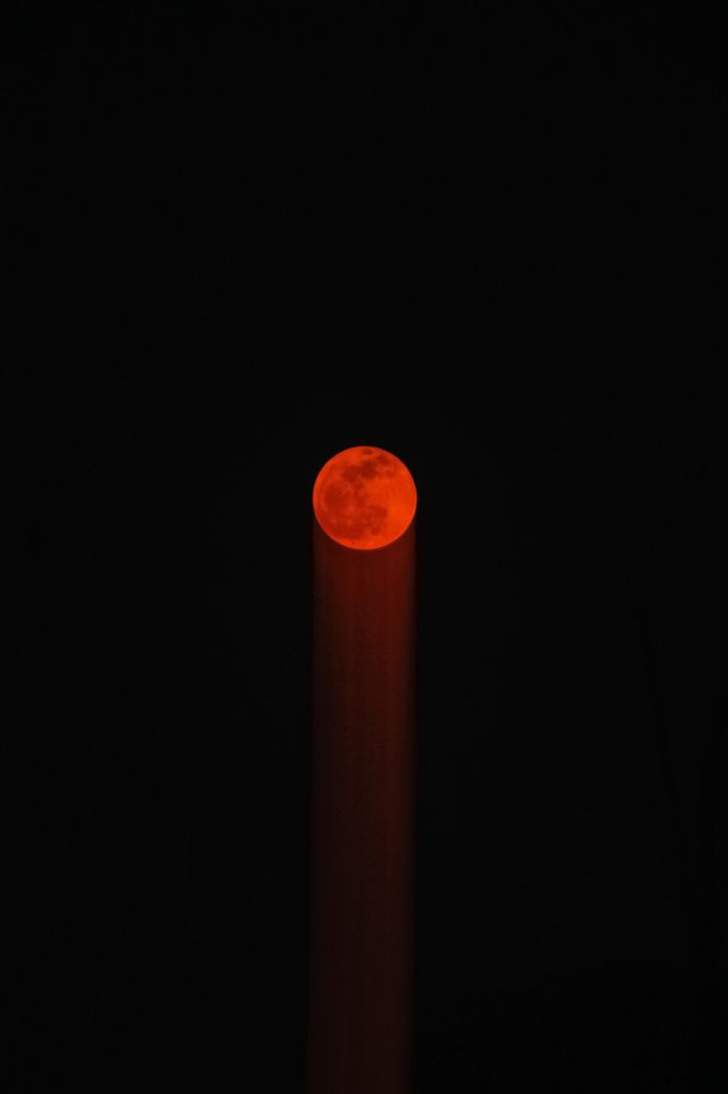 Photograph by Anupam Rai