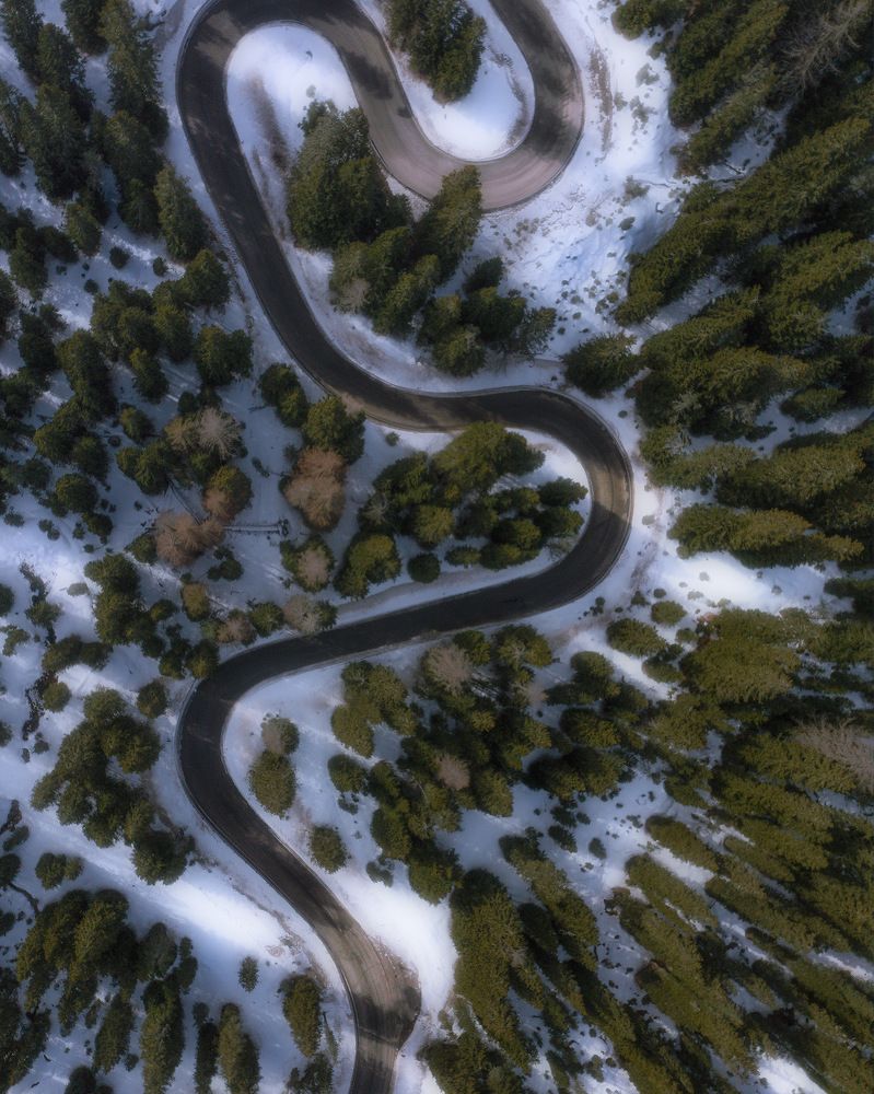 Photograph by Alessandro Mo