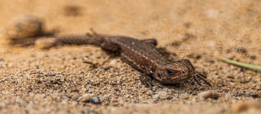 Photograph by Сергей