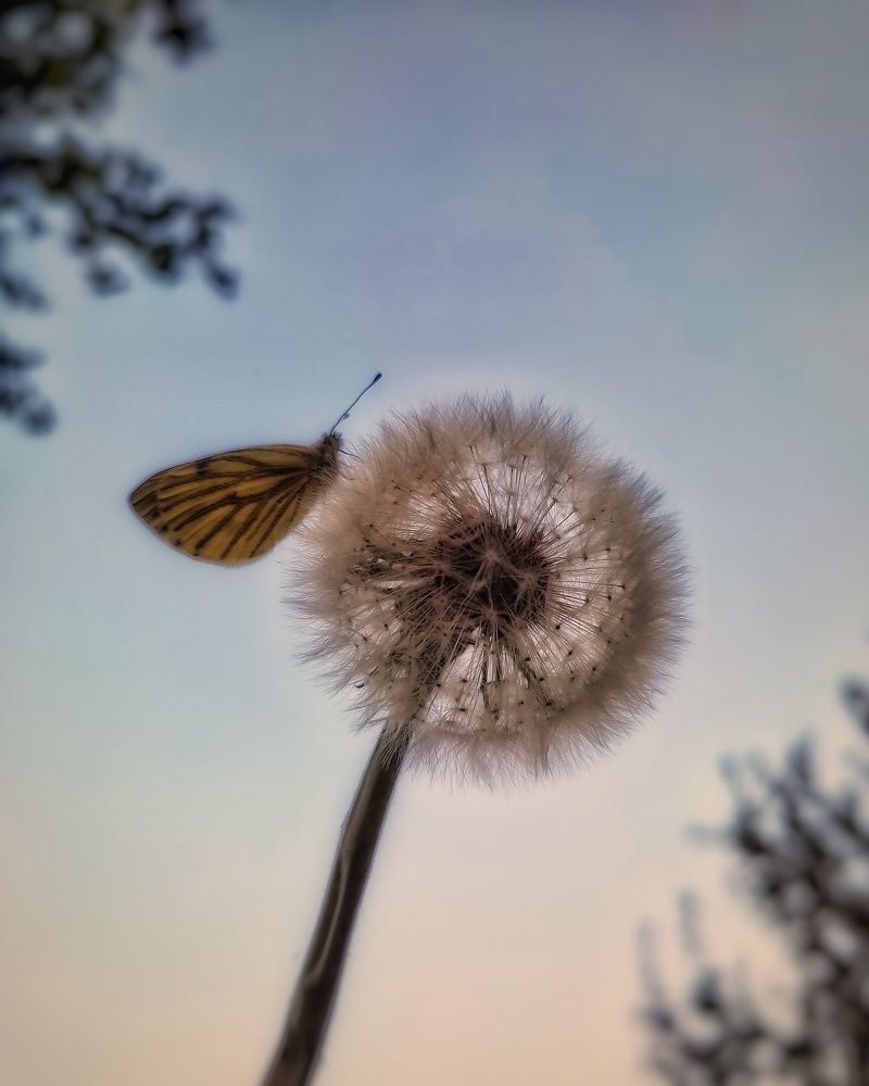 Photograph by Евгений Белов