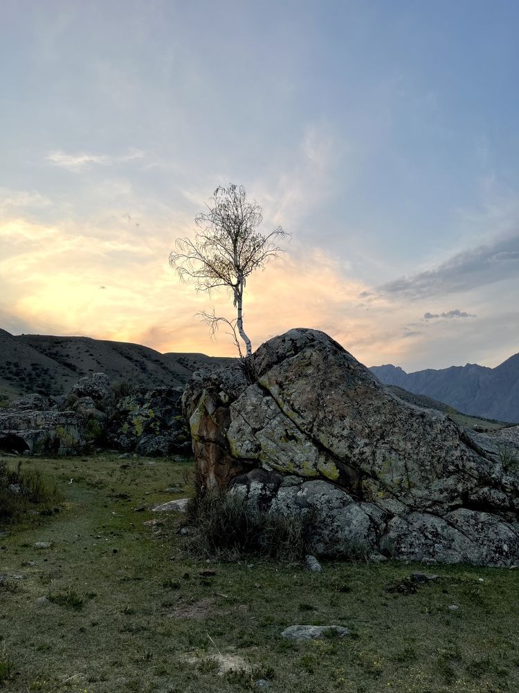 Photograph by Anton Nagel