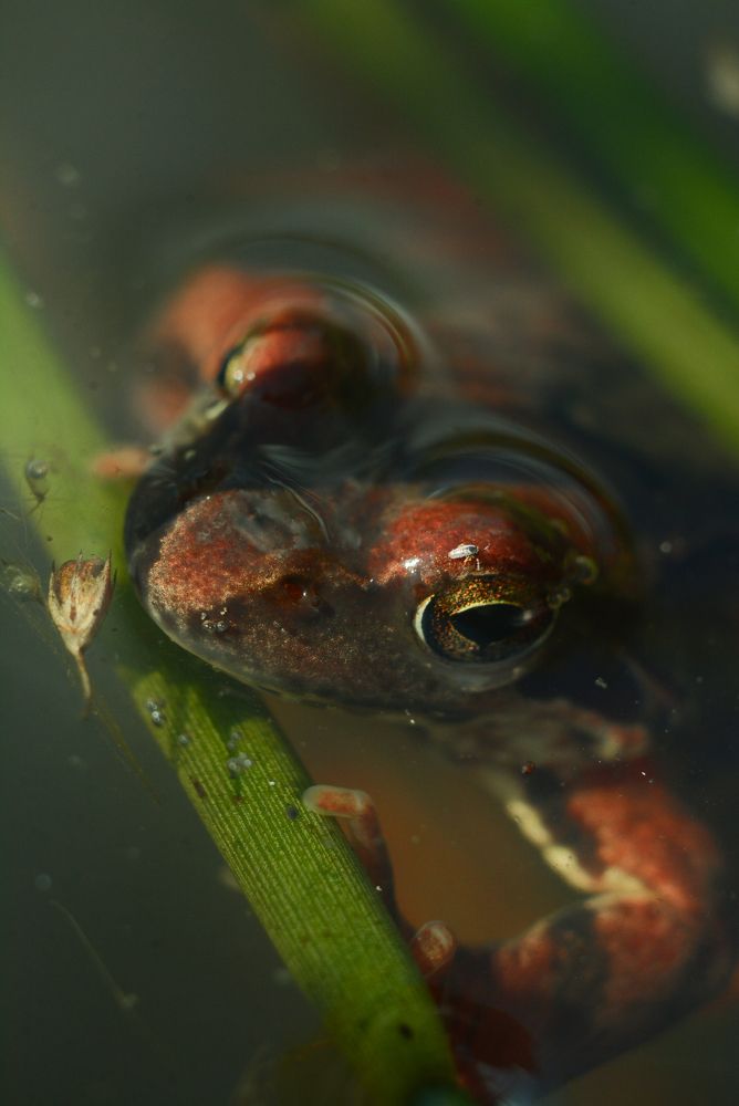 Фотография автора Информация Отсутствует