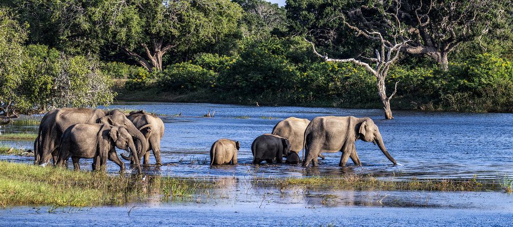 Photograph by Jagath Kalupahana