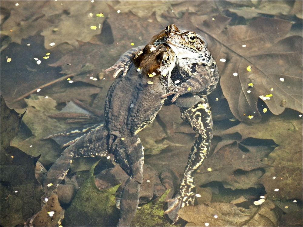 Любовь
