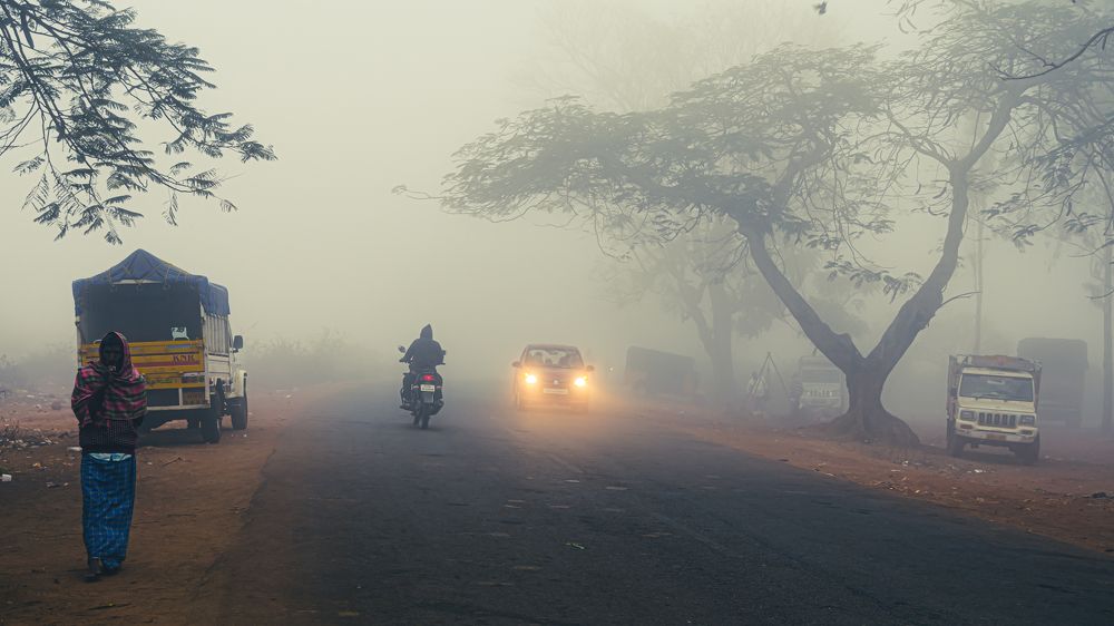 Photograph by Basavaraj M