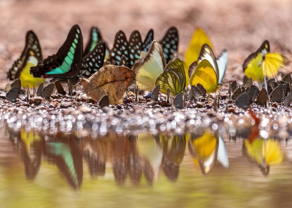 Photograph by Cuong Dinh Huu