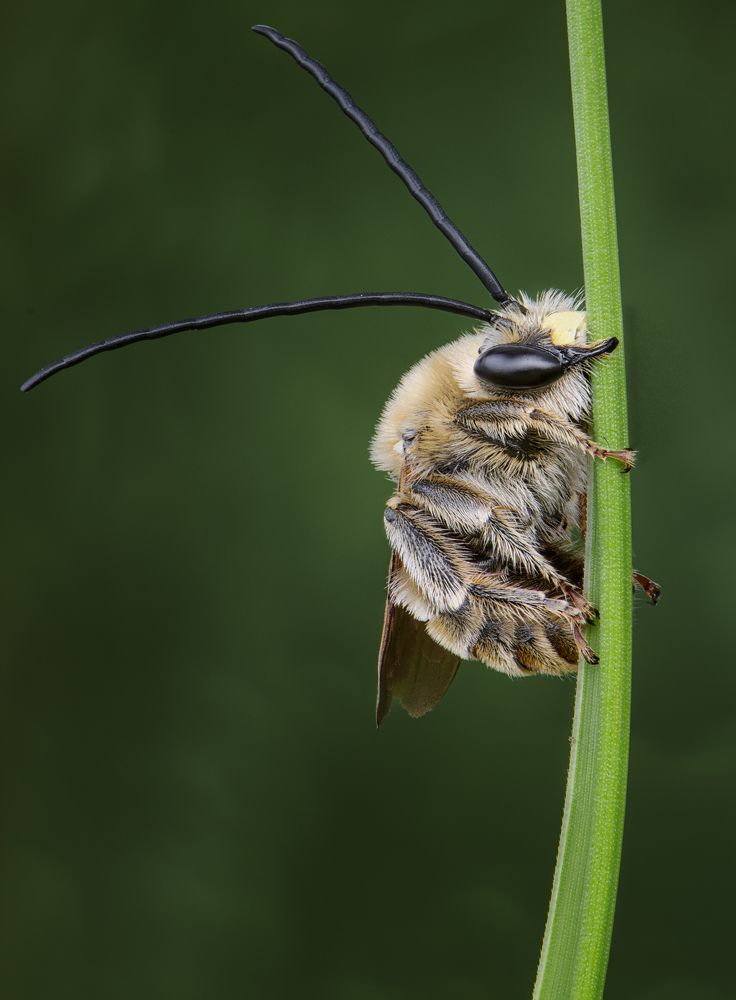 Фотография автора Андрей Жила