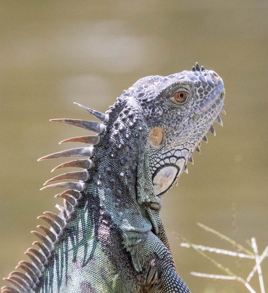 Photograph by Андрей Кротов