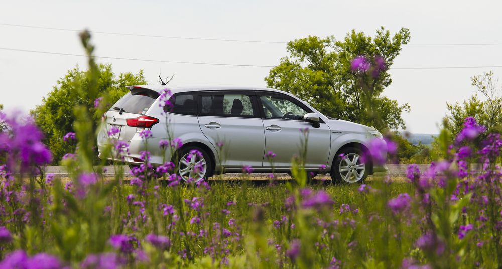 Photograph by Дмитрий Гончаров