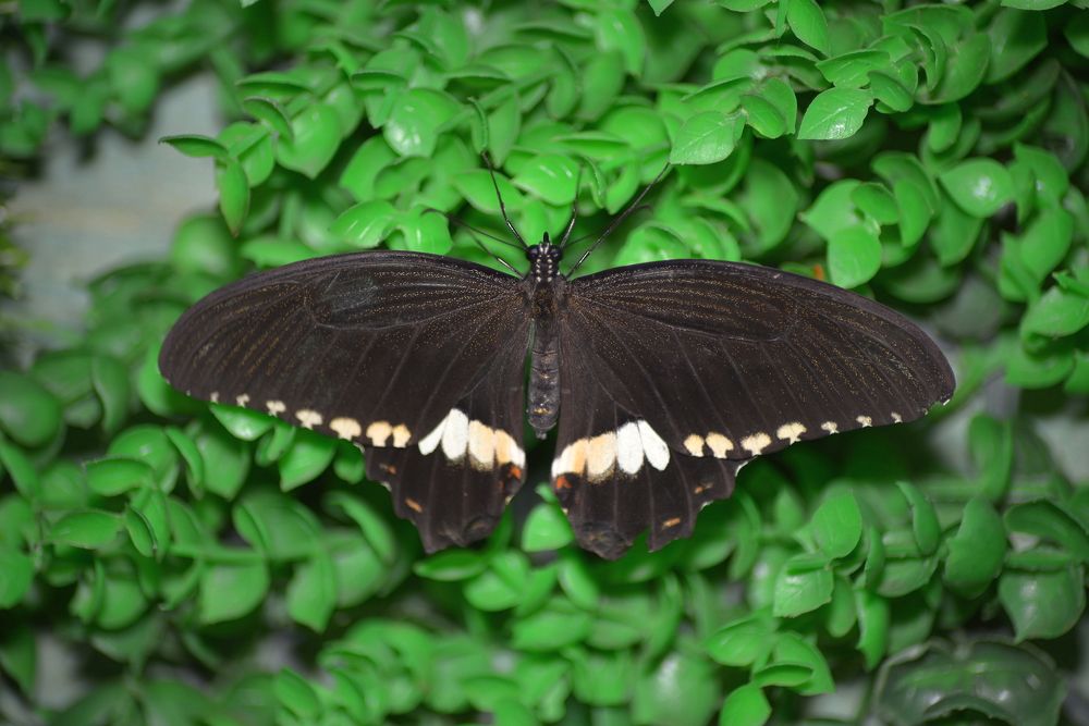 Photograph by Андрей Городецкий