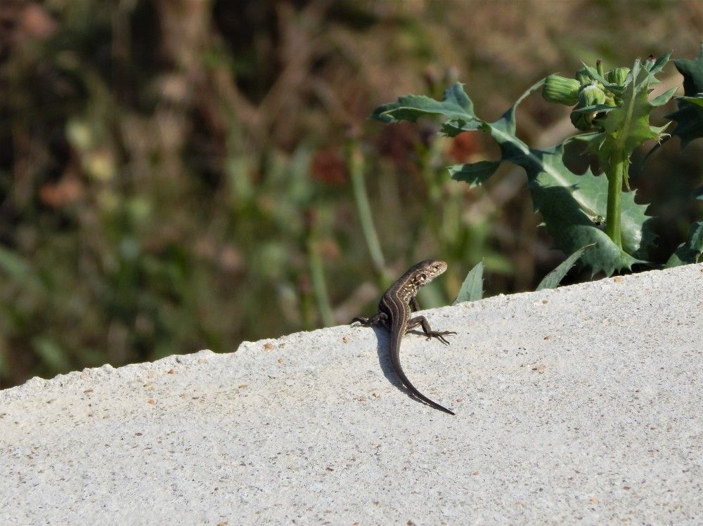 Photograph by Ирина Самойленко