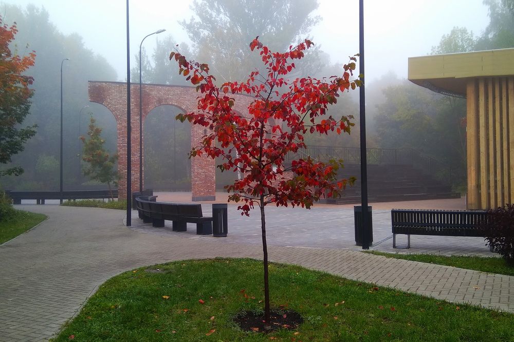 Photograph by Евгений Даниленко