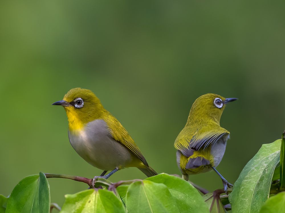 Photograph by Suvendu Bhattacharjee
