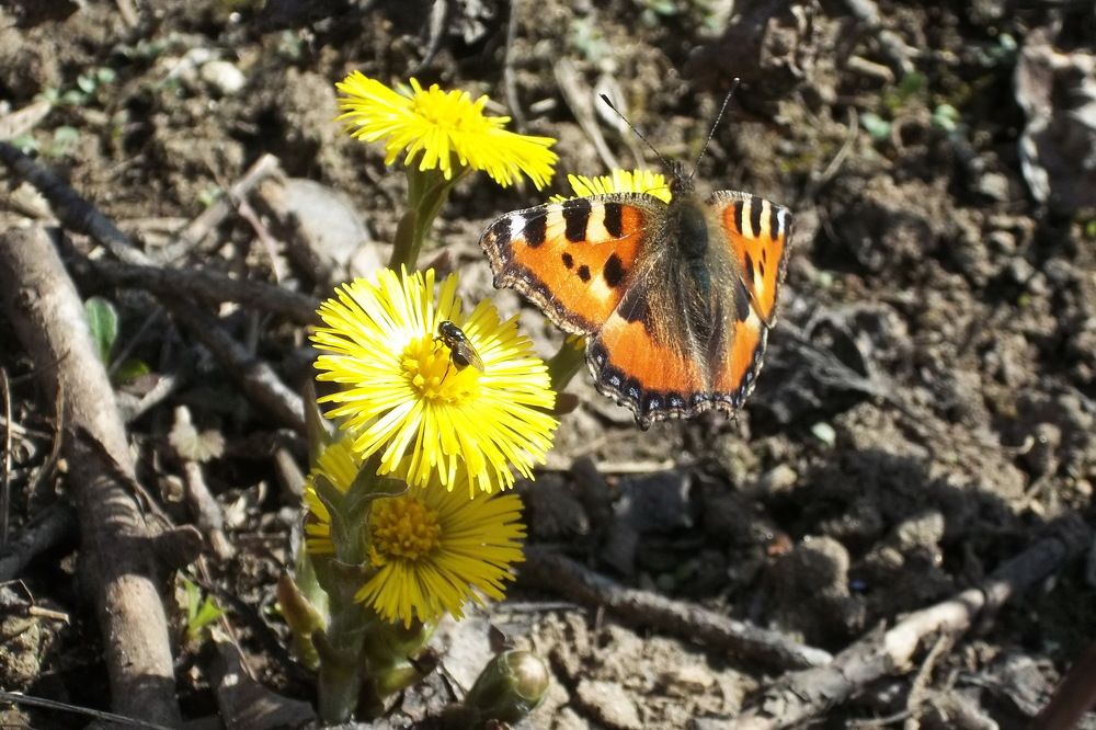 Photograph by Евгений Даниленко