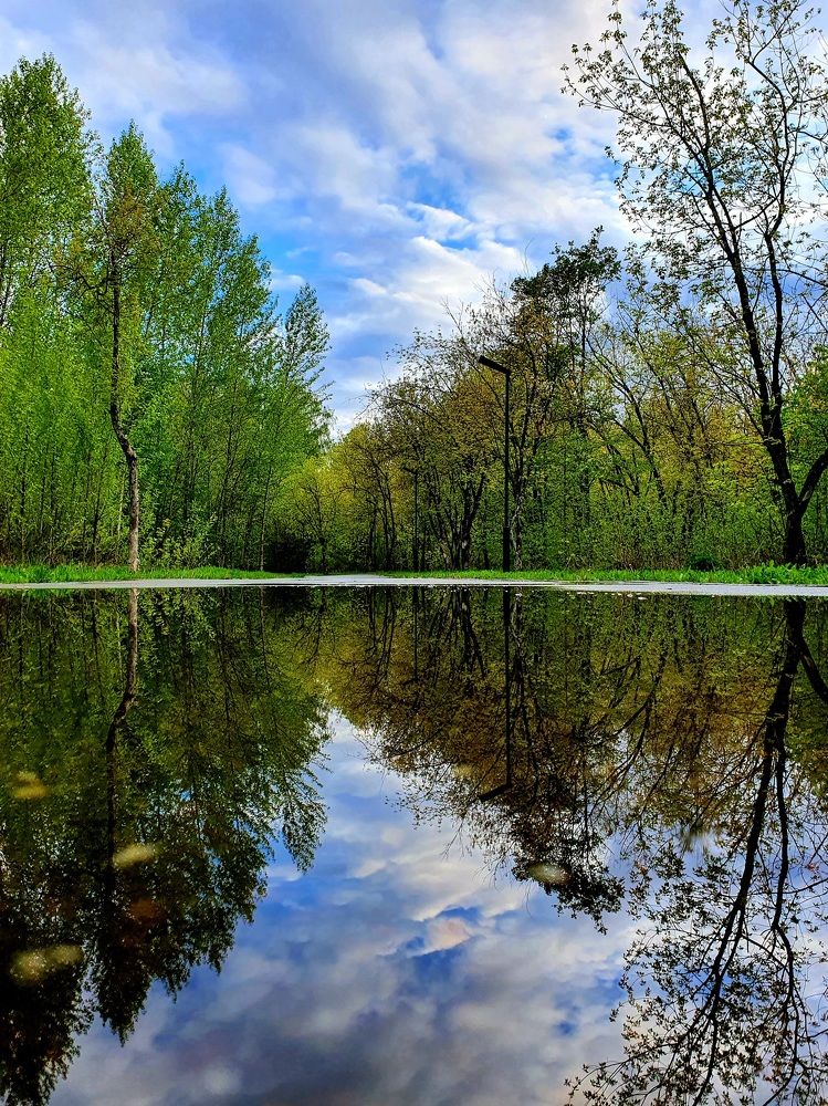 Photograph by Дмитрий