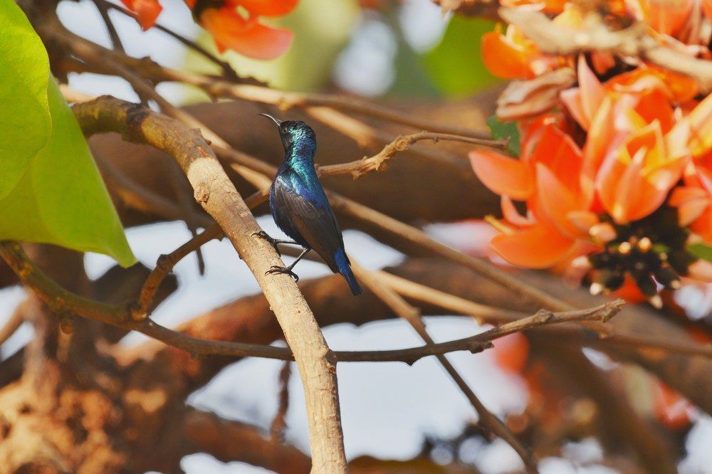 Photograph by Neelimaa Ripote