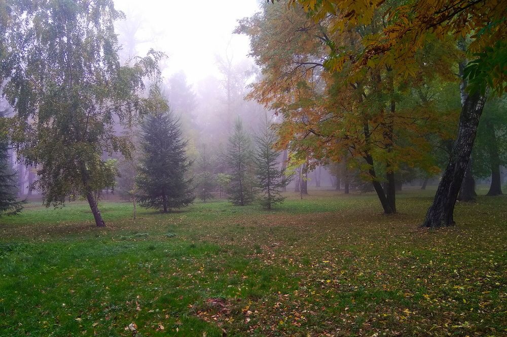 Photograph by Евгений Даниленко