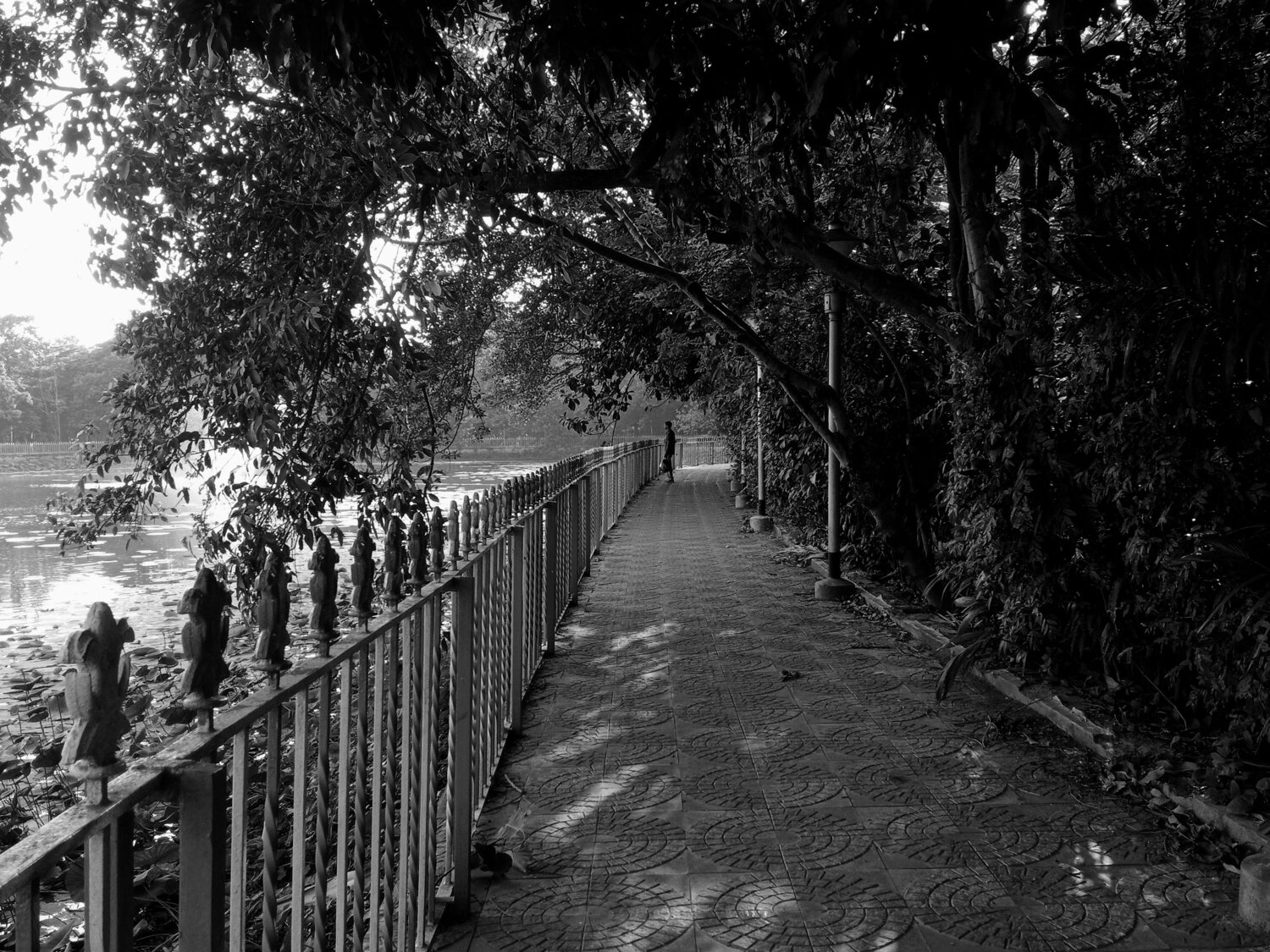 Photo #9196389