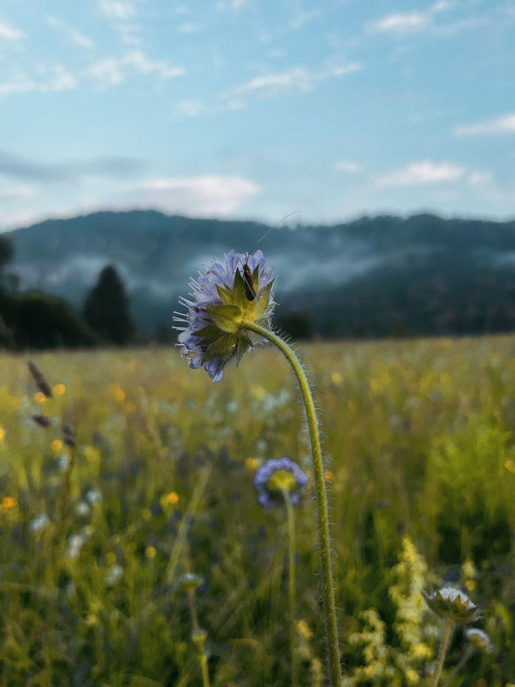Photograph by Альфия Лукманова