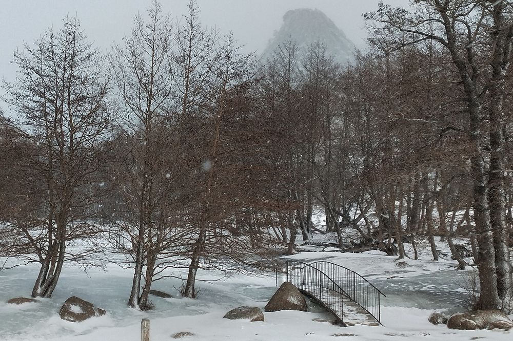 Photograph by Елена Глухарева