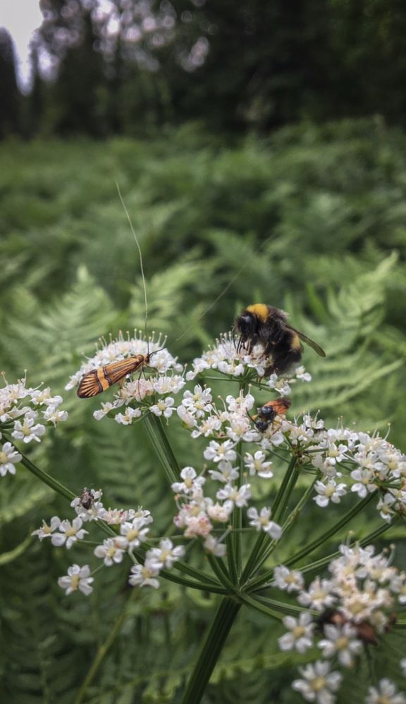 Photograph by Альфия Лукманова
