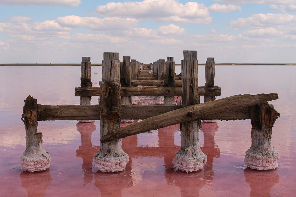 Photograph by Елена Глухарева