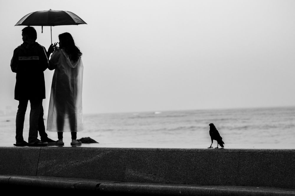 Фотография автора Monu Lalji Prajapati