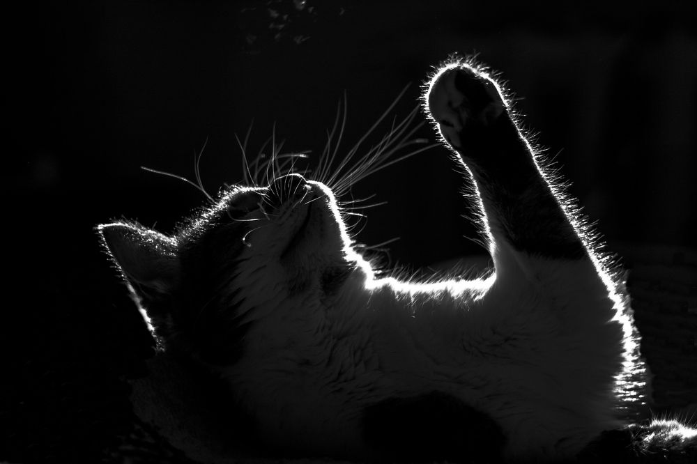 Photograph by Елена Глухарева