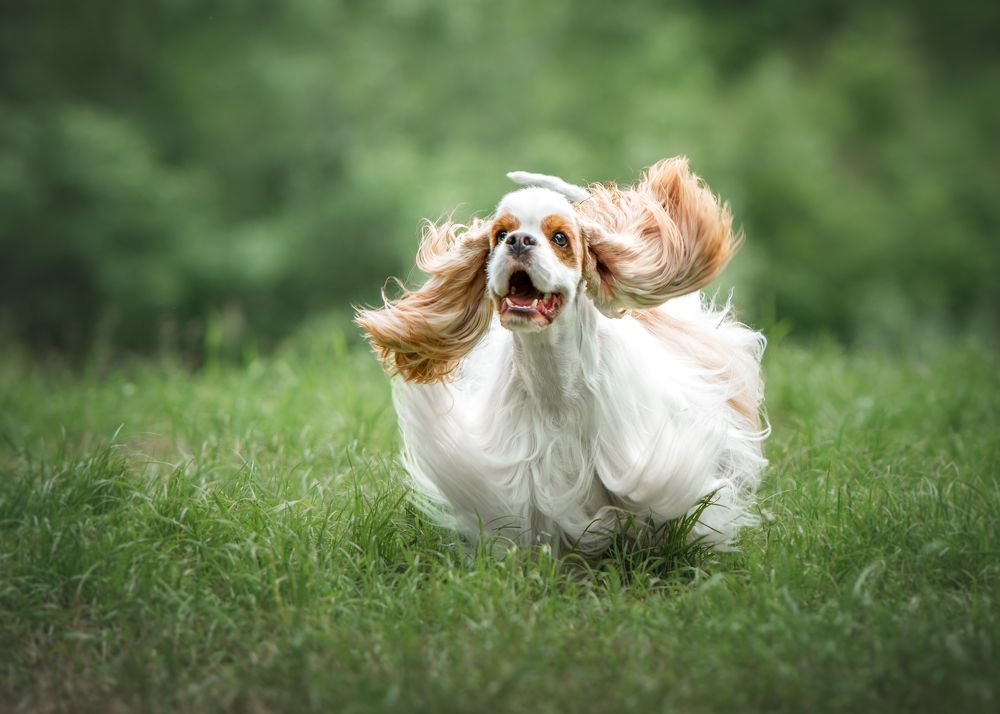 Photograph by Наталья Орел