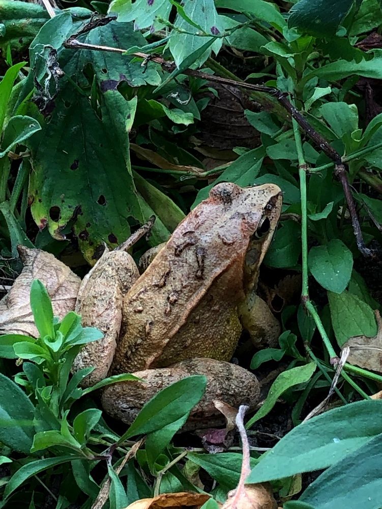 Photograph by Halina Mitsevich