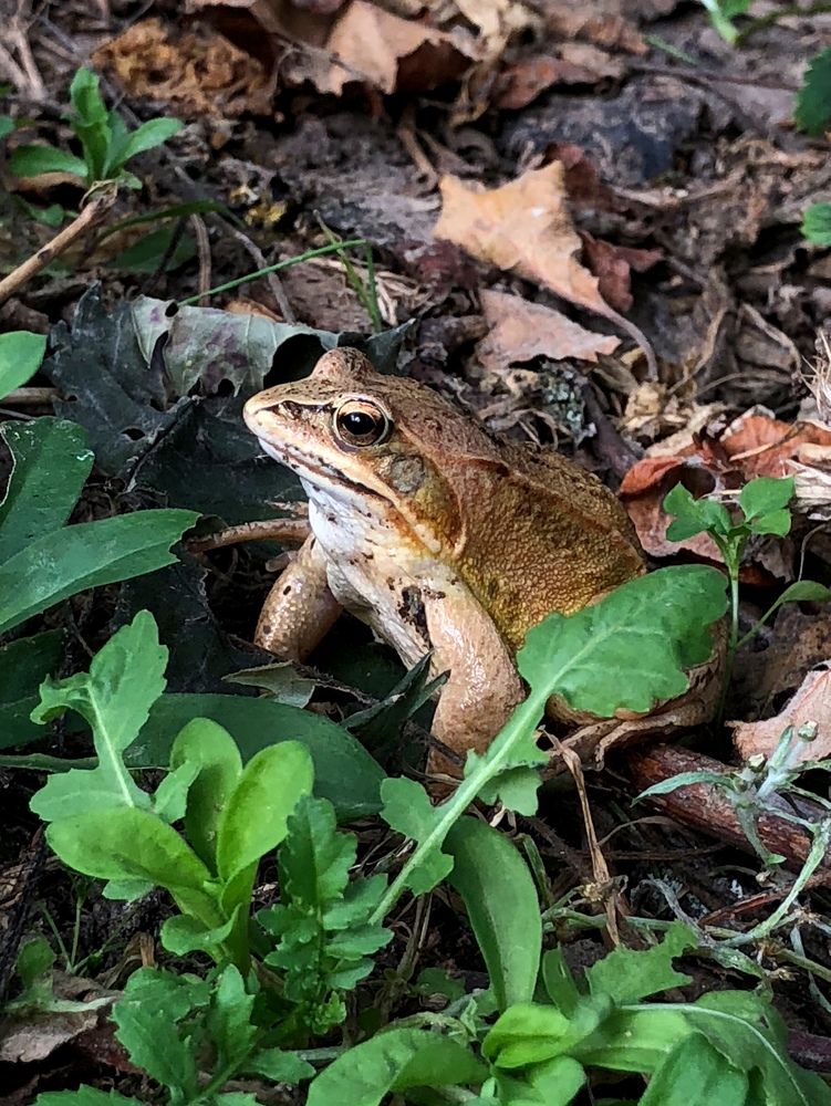 Photograph by Halina Mitsevich