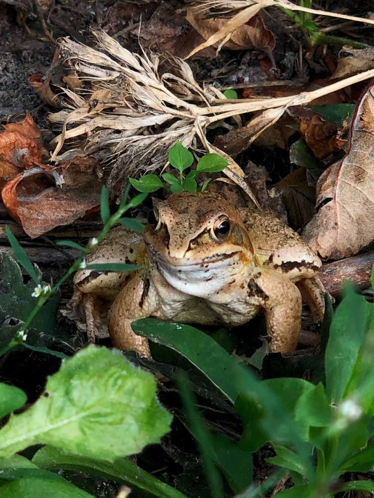 Photograph by Halina Mitsevich