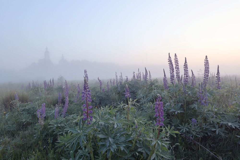Photograph by Елена Алексеева