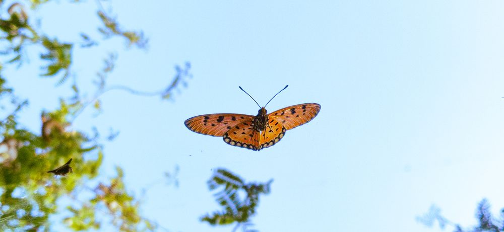Photo #9196523