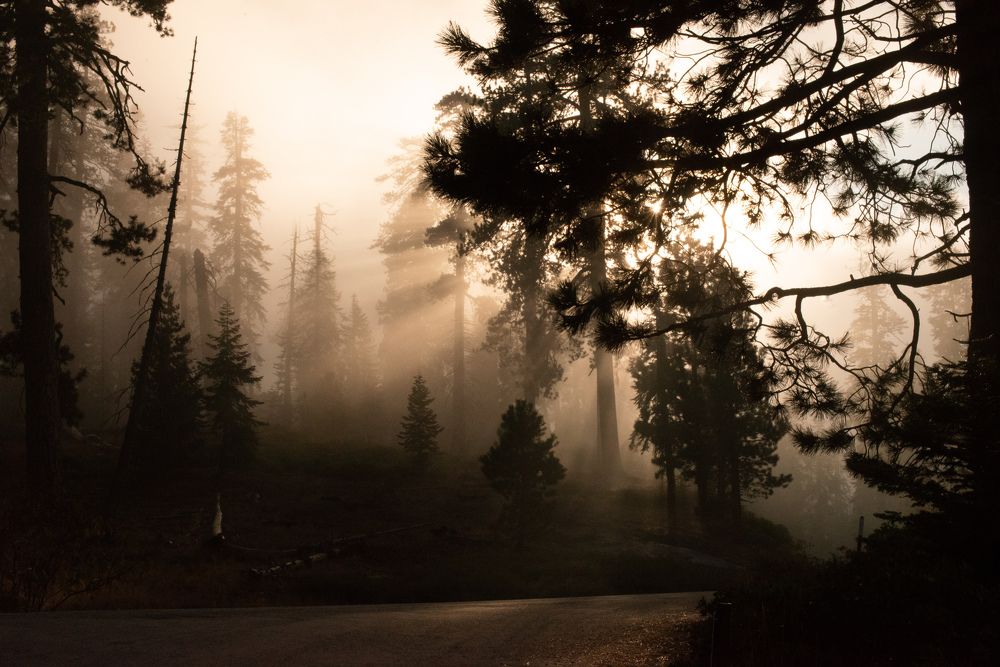 Photograph by Екатерина Мосолова