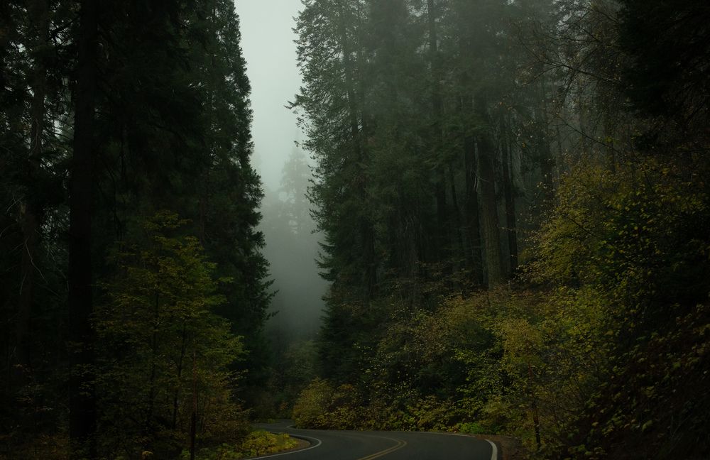 Photograph by Екатерина Мосолова