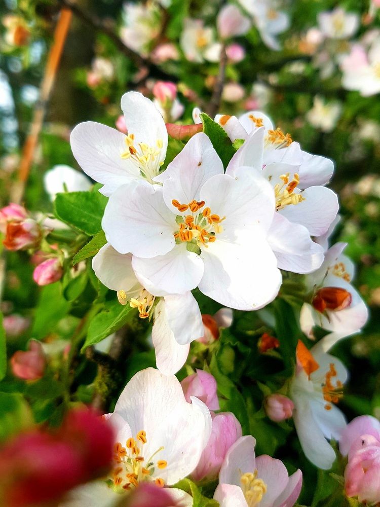 Photograph by Marina Kozlova