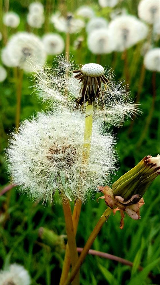 Photograph by Marina Kozlova