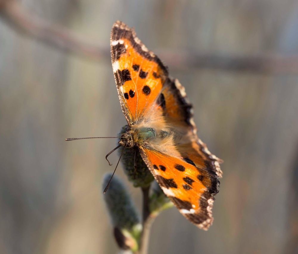 Photograph by Tatiana Kravchuk