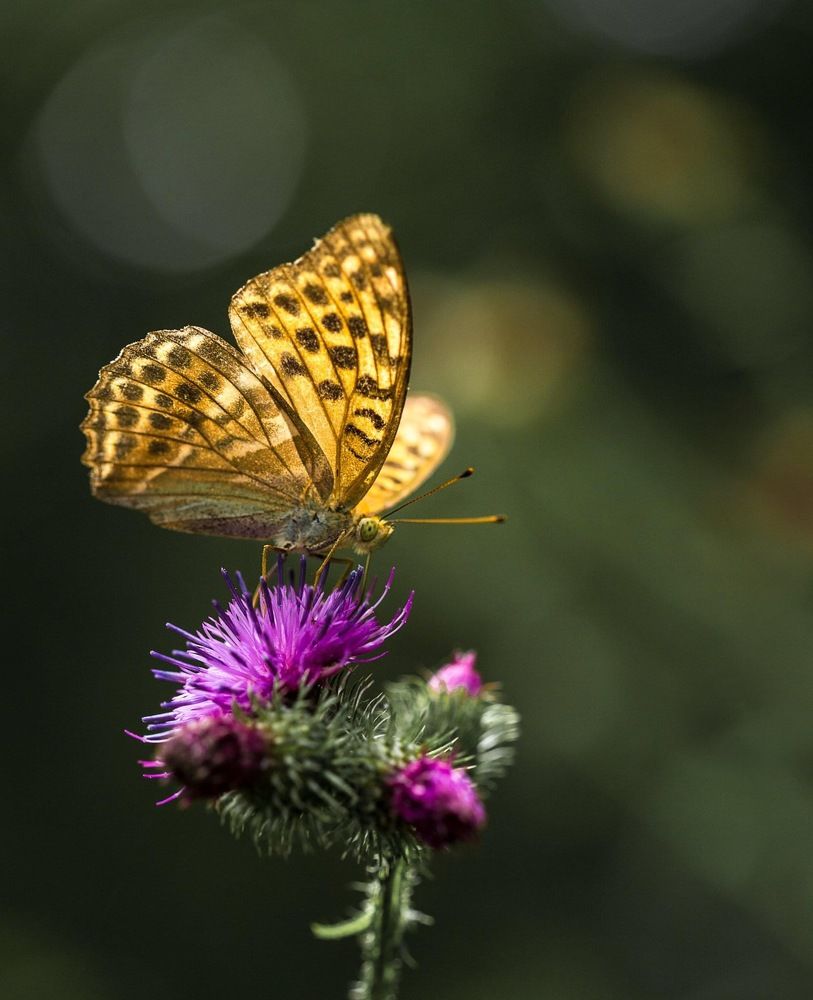 Photograph by Tatiana Kravchuk