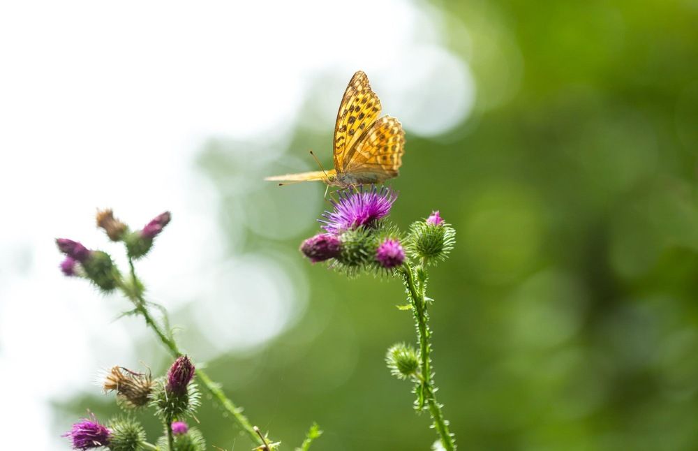 Photograph by Tatiana Kravchuk