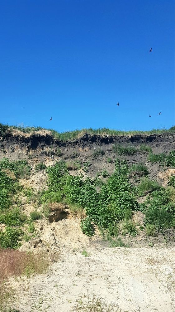 Photograph by Marina Kozlova