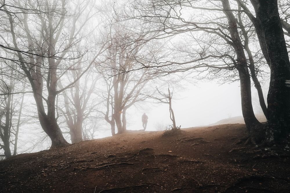 Photograph by Александр Дмитриев