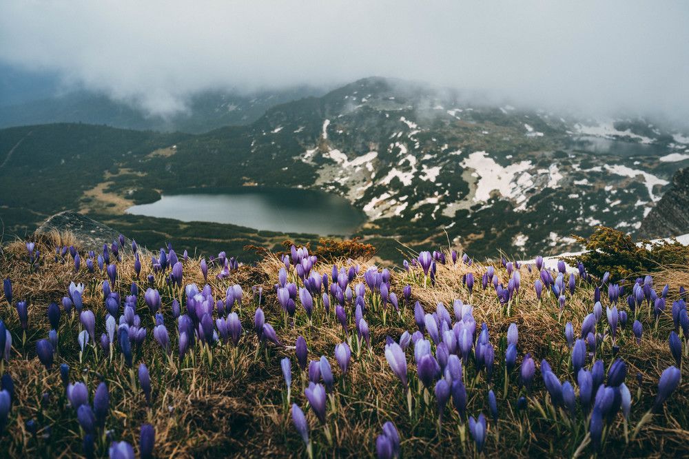 Photograph by Александр Дмитриев