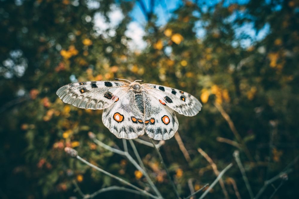 Photograph by Александр Дмитриев