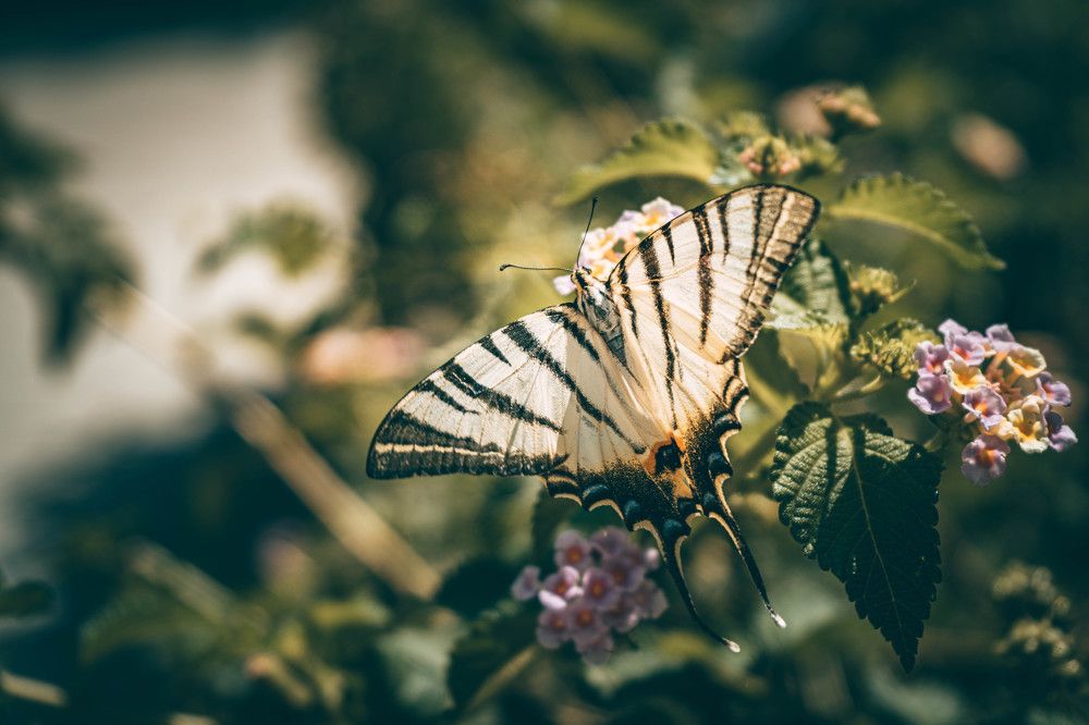 Photograph by Александр Дмитриев